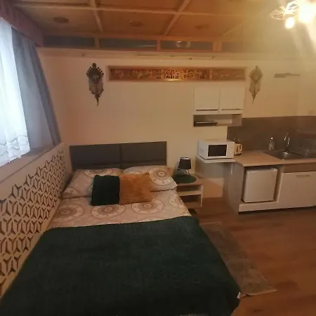 Tatrzanski Azyl W Centrum Zakopanego
