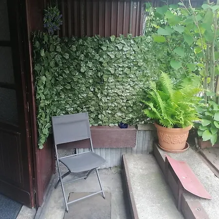 Tatrzanski Azyl W Centrum Zakopanego *