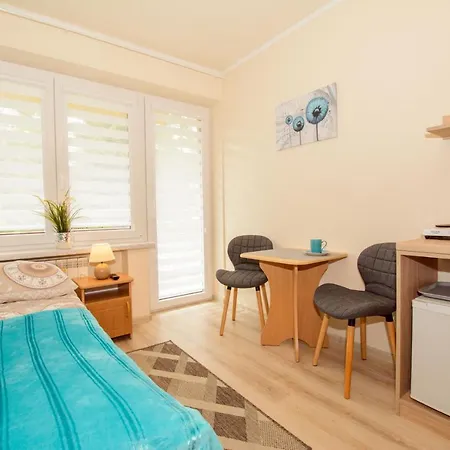 Tatrzanski Azyl W Centrum Zakopanego