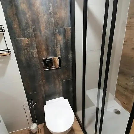 Tatrzanski Azyl W Centrum Zakopanego Zakopane