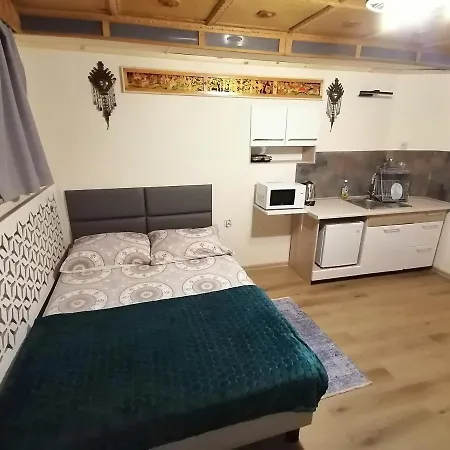Tatrzanski Azyl W Centrum Zakopanego Alloggio in famiglia Zakopane