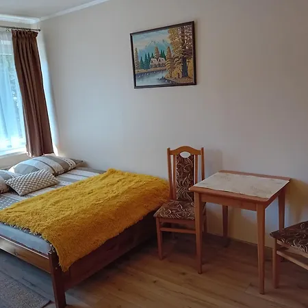 Tatrzanski Azyl W Centrum Zakopanego Zakopane