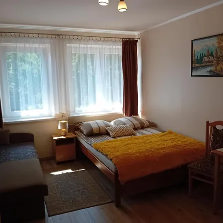 Tatrzanski Azyl W Centrum Zakopanego Alloggio in famiglia Zakopane