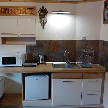 Tatrzanski Azyl W Centrum Zakopanego